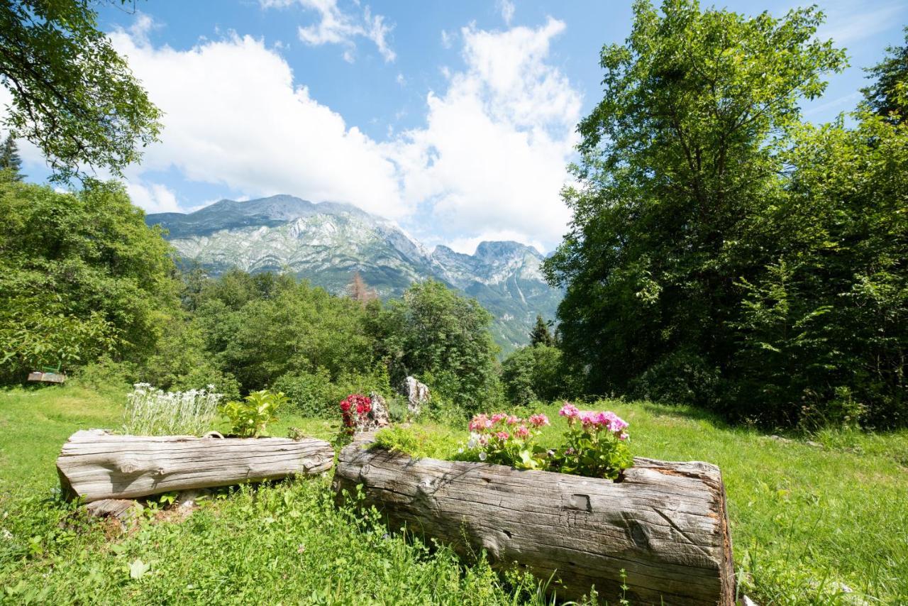 Miha Lodge - Mihcevo Plece Soča Exterior foto